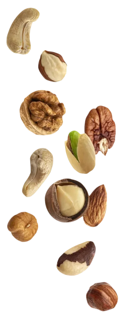 Selección de frutos secos: almendras, nueces, avellanas y pistachos, ideales para una dieta saludable.